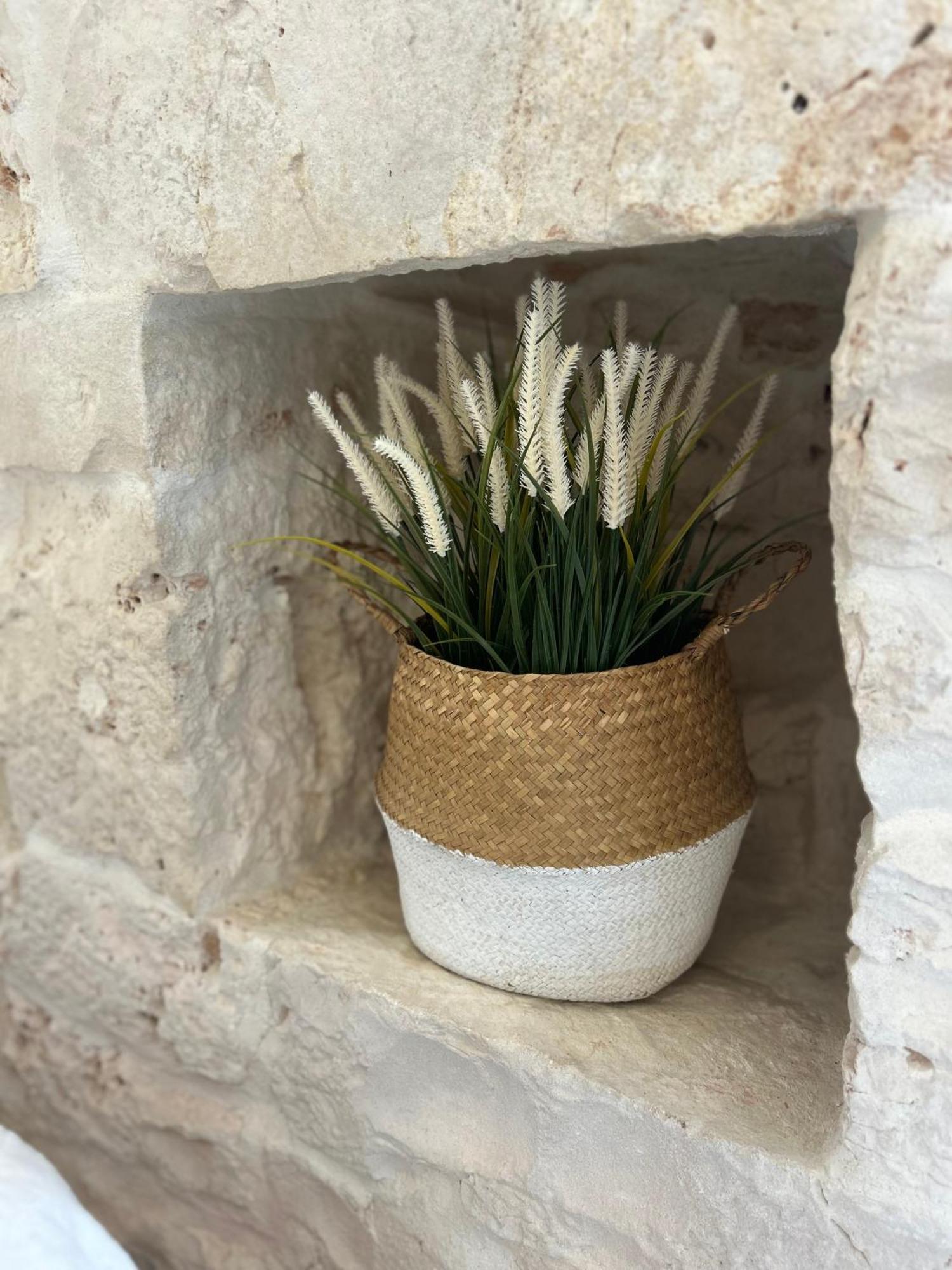 Trulli In Contrada - Monopoli Konuk evi Dış mekan fotoğraf