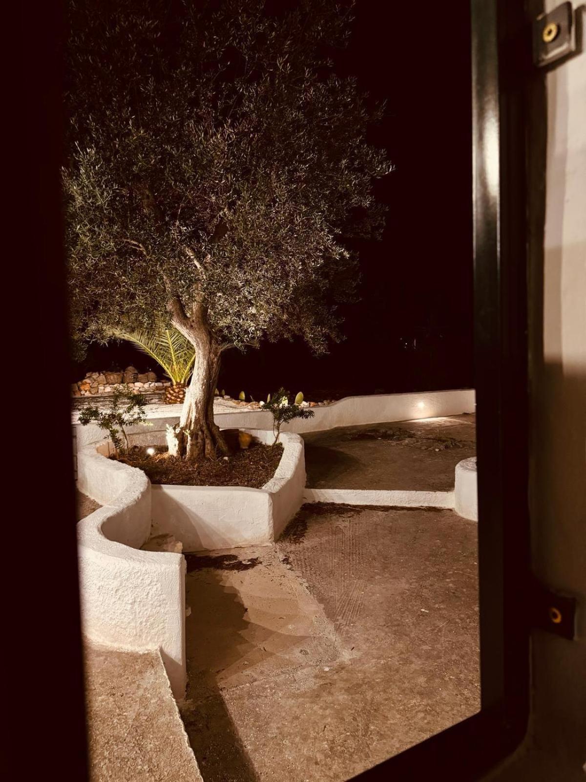 Trulli In Contrada - Monopoli Konuk evi Dış mekan fotoğraf