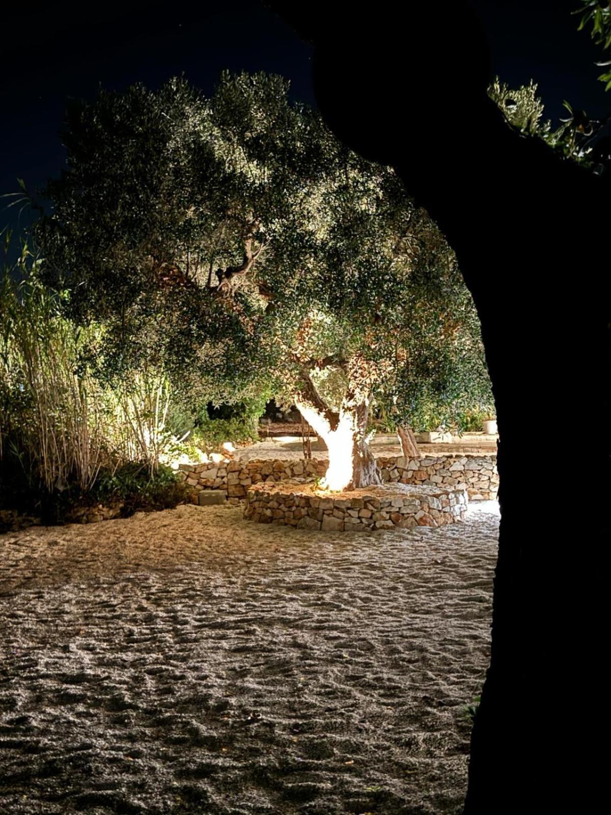Trulli In Contrada - Monopoli Konuk evi Dış mekan fotoğraf